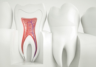 roots in tooth